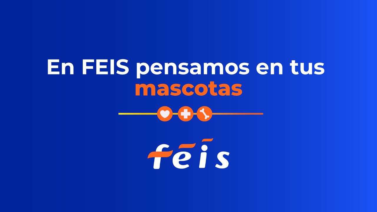 NOTICIA-PLANES-MASCOTAS