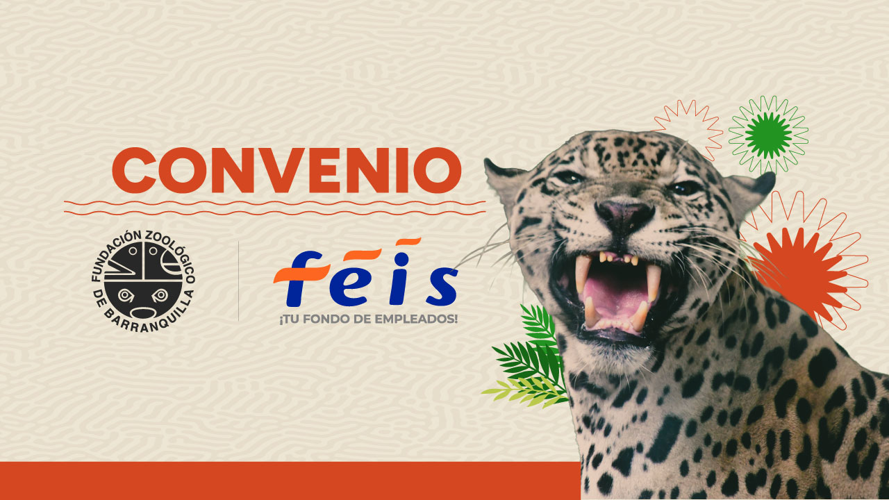 NOTICIA-CONVENIO-ZOOLÓGICO-DE-BARRANQUILLA